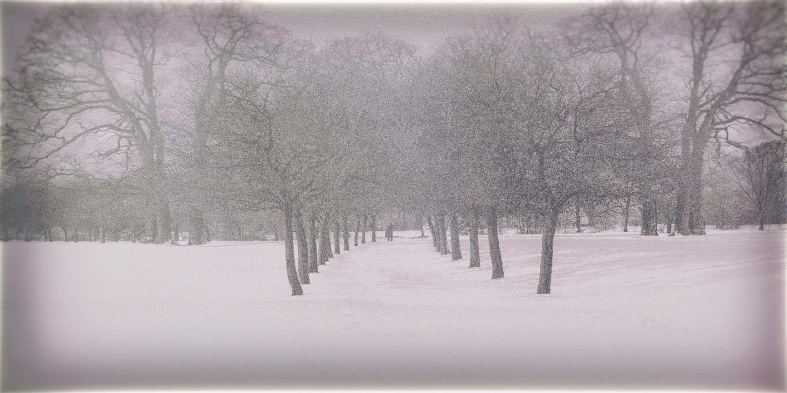 155_Snow_Grovelands-Park_Roll29_neg01_vc4v5_©AndySotiriou2025.jpg