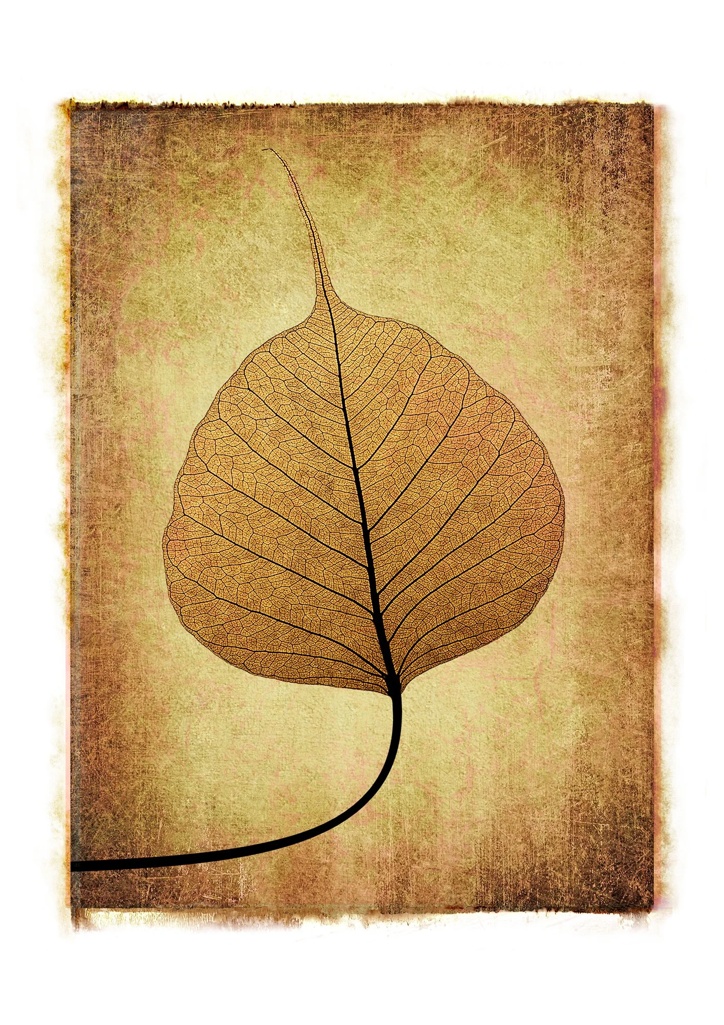150_Leaf-lace_#04_3962_©AndySotiriou2020.jpg