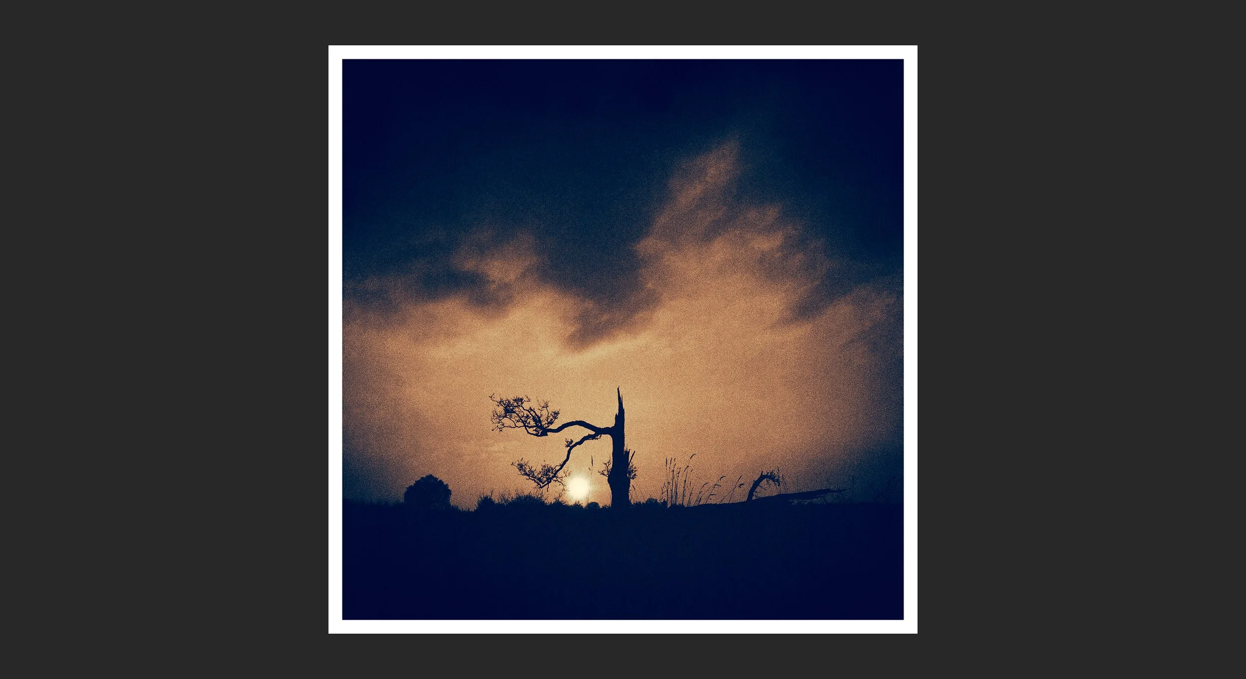 160_Lightning-tree_full-moon-rising_Wales_aecc2v3_s_©AndySotiriou2026.jpg