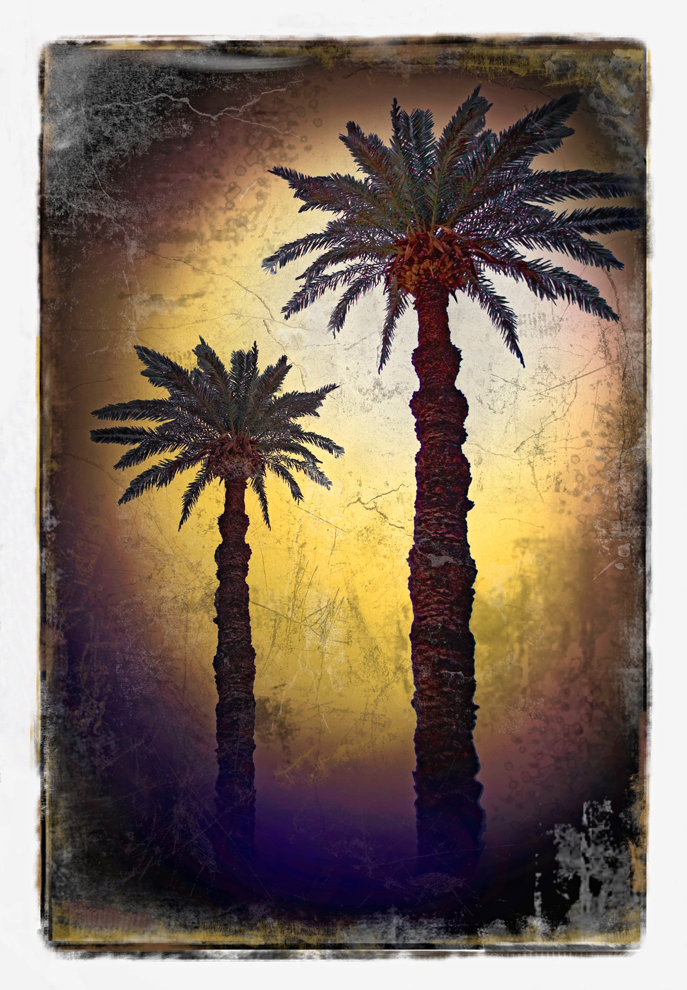 155_Egyptian_Palms_©AndySotiriou2008.jpg
