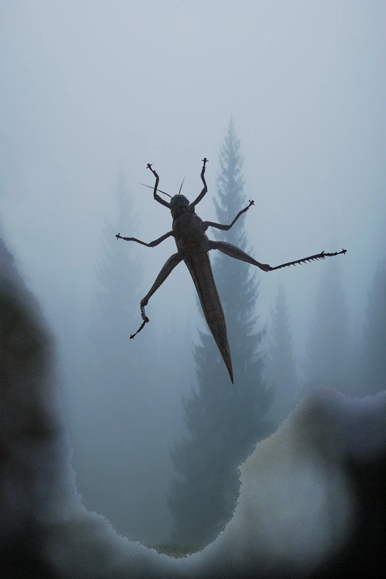 290n_Surprise visitor_©AndySotiriou2014.jpg