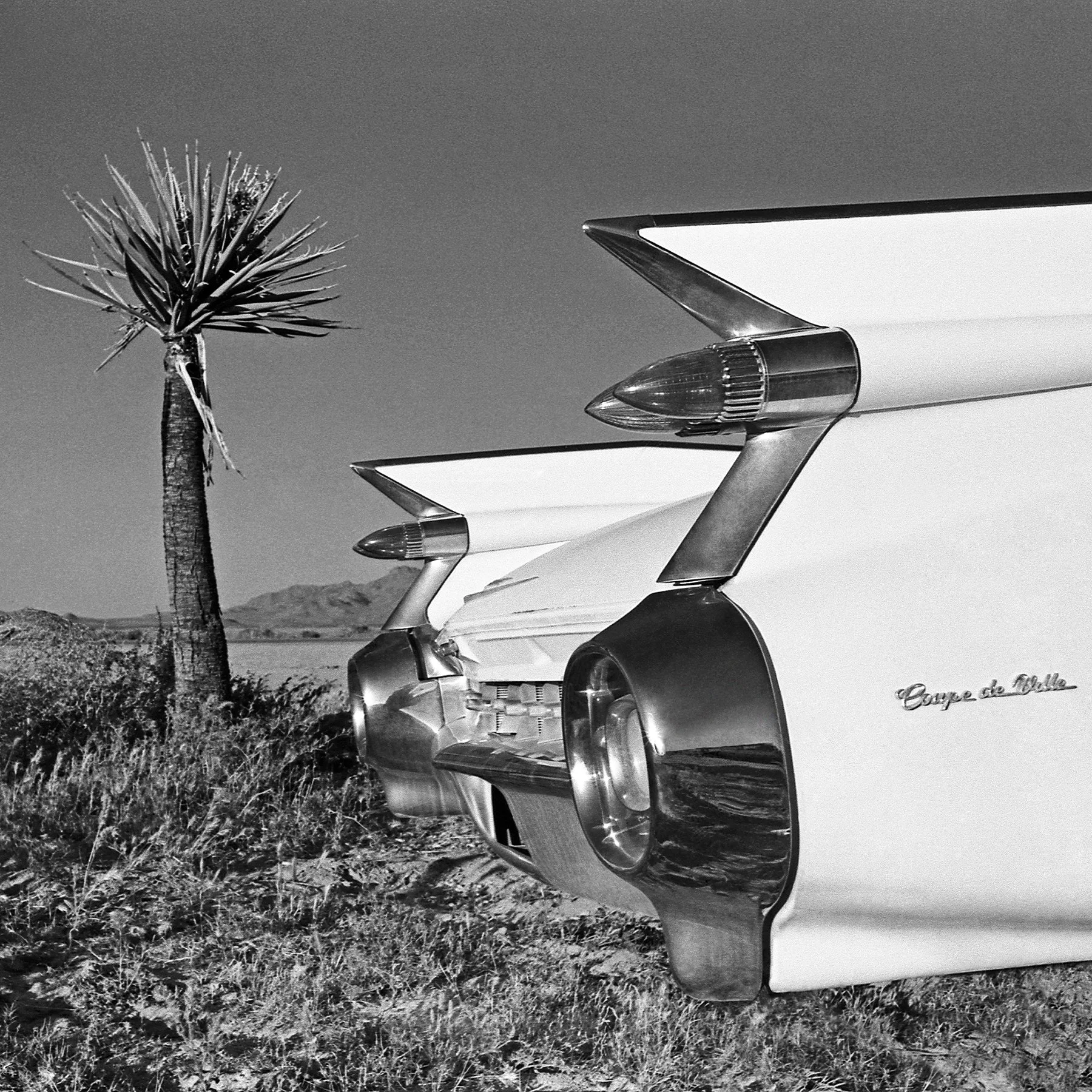 225_Coupe-de-Ville_1959_22_©AndySotiriou2026.jpg