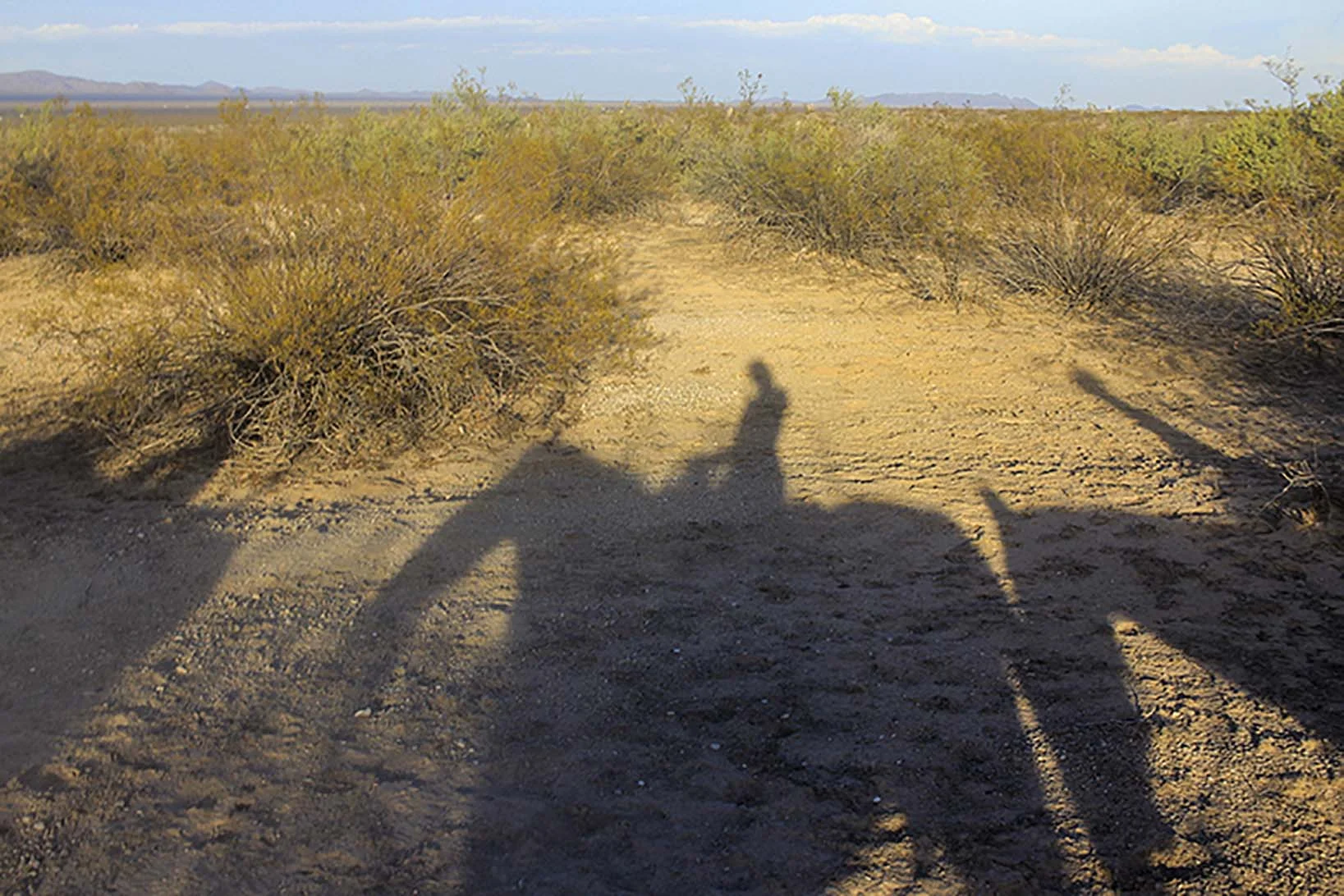 IMG_4339.jpg