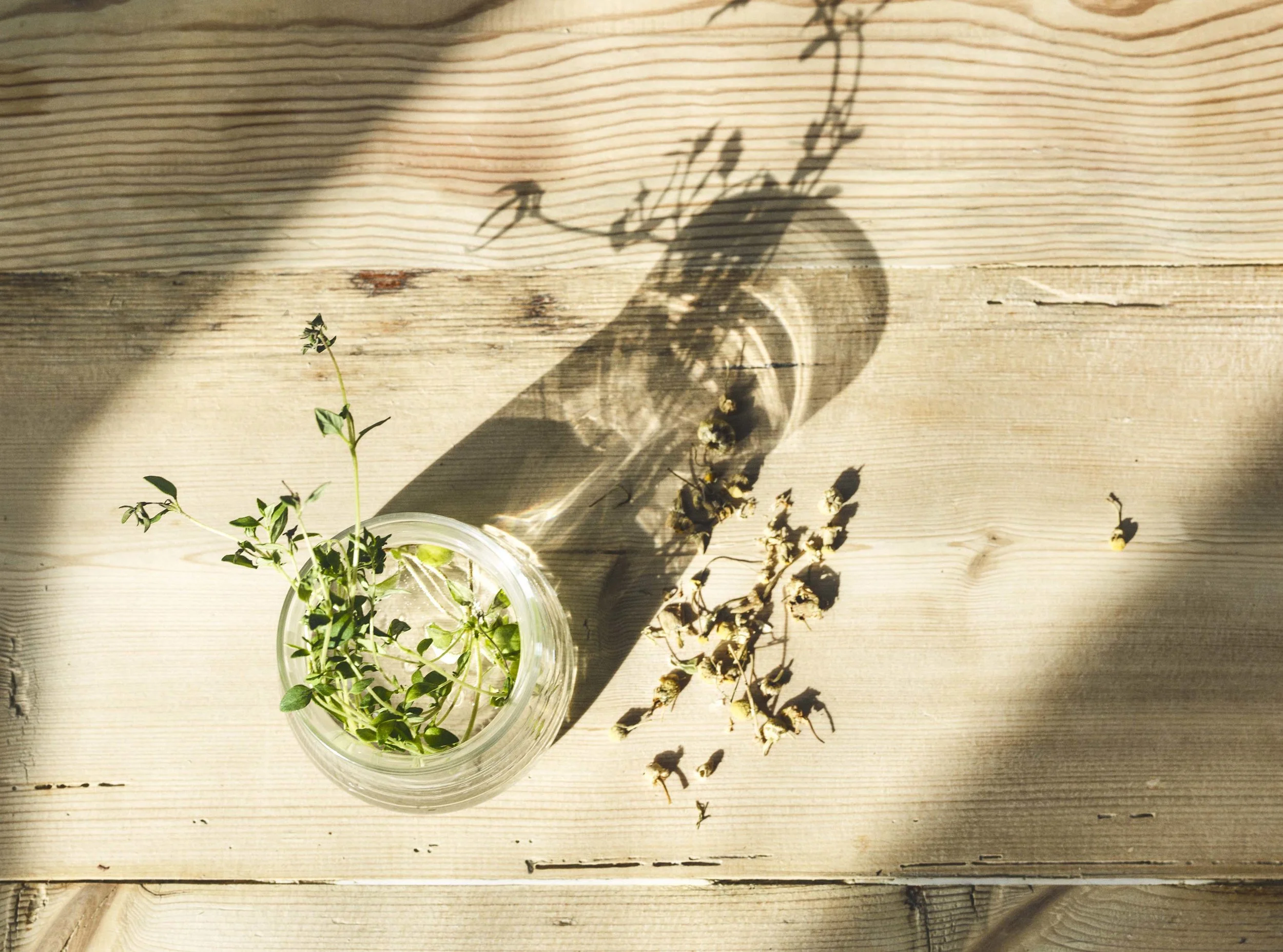 Photography by Nina Merikallio, Art Direction & Styling by Saana Hellsten