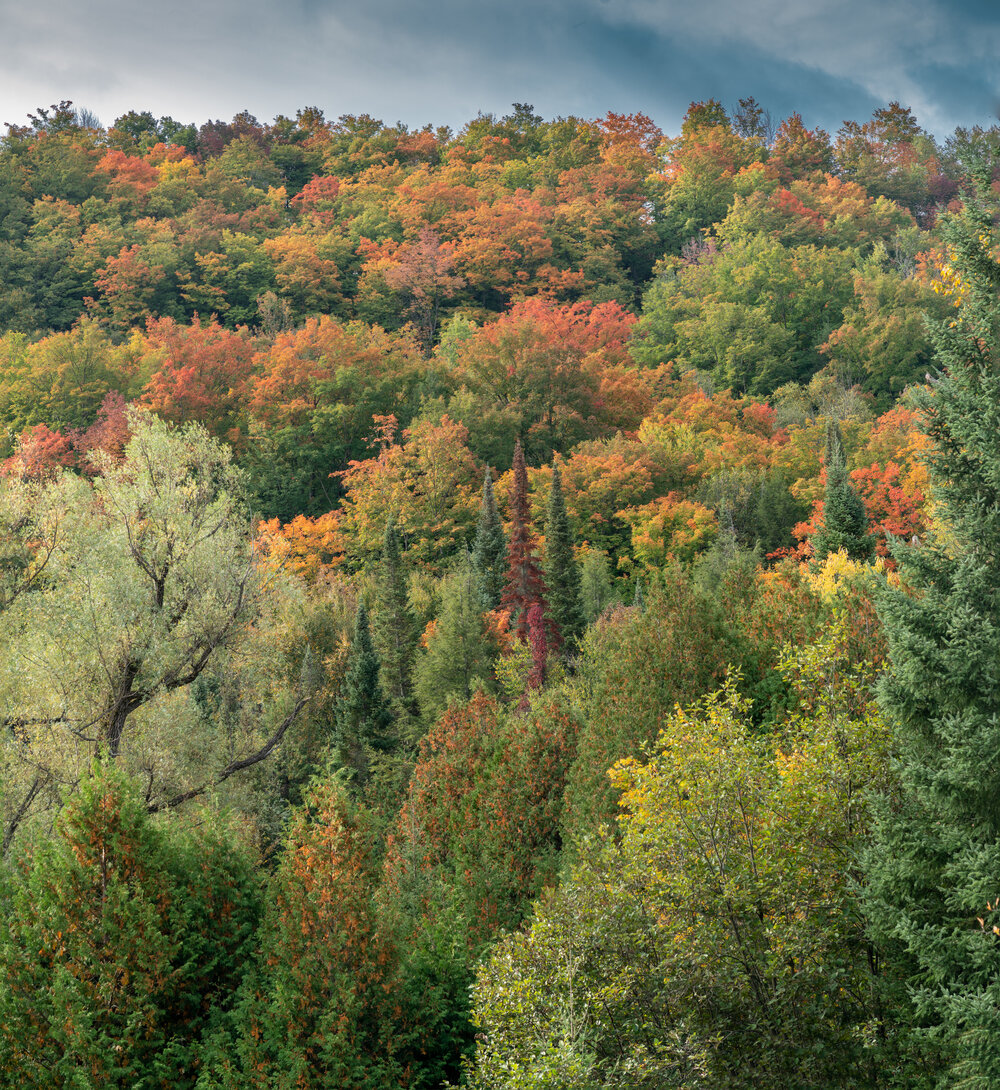 20200927-NJH01764-Pano.jpg