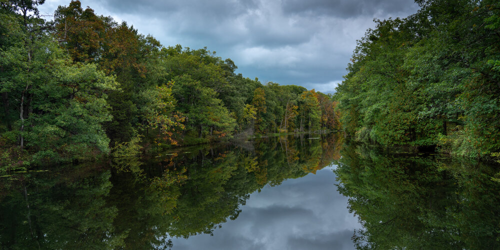  Pinery Provincial Park, Hickory Trail 