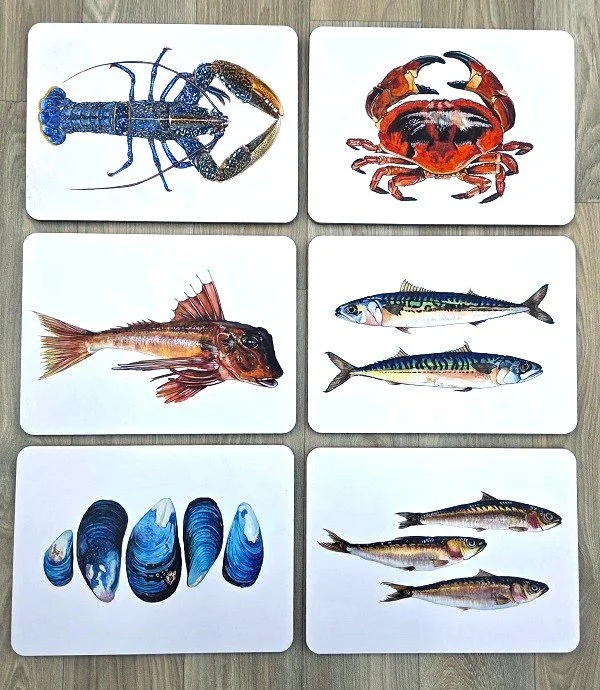 new 2026 set of placematts.jpg