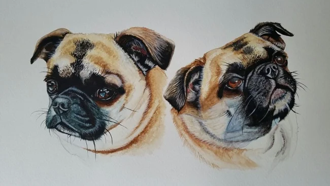 "Gus" 2 pose Pug