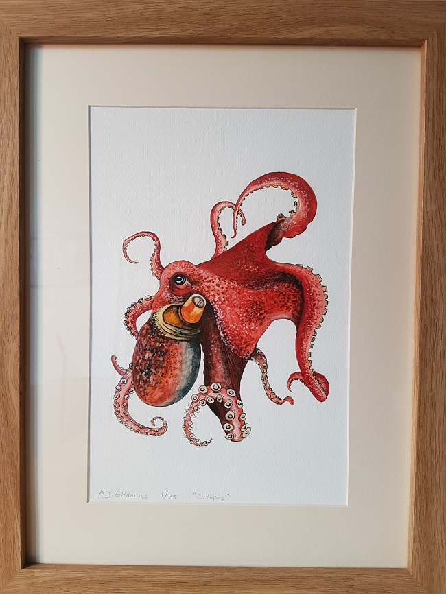 Limited Edition Octopus Print| Shop| The Animal Artist