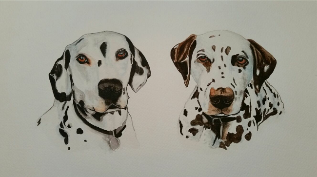 " DJ and Molly" Dalmatian