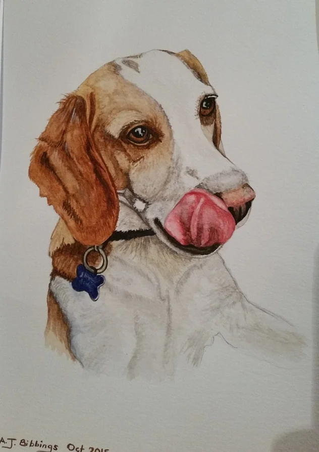 " Marley" Beagle
