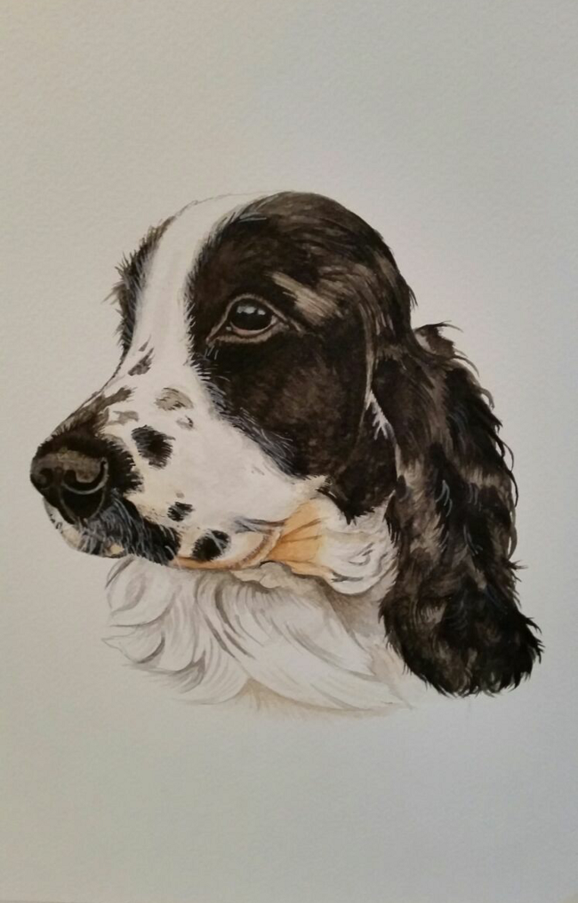"Elsa" Rhone Spaniel