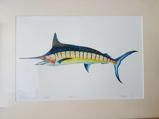 web size marlin..jpg