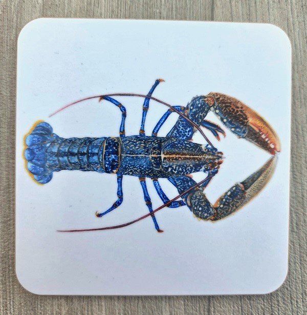new 2026 lobster coaster.jpg