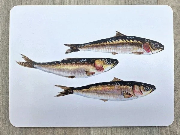 new 2026 sardine placematt.jpg