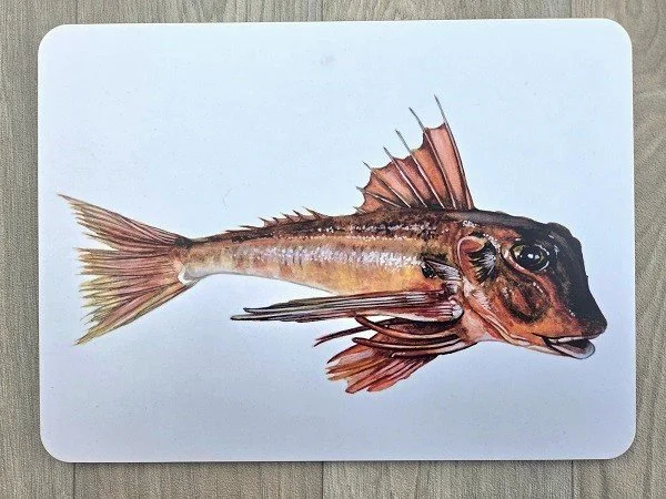 new 2026 red gurnard placematt.jpg