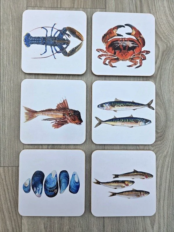 new 2026 set of six coasters.jpg