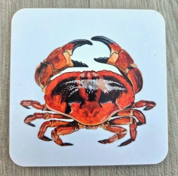 new 2026 crab coaster.jpg