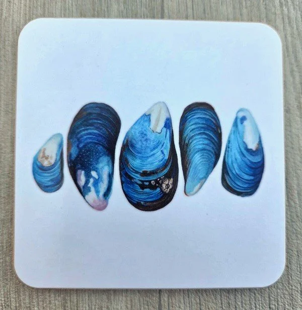 new 2026 mussel coaster.jpg