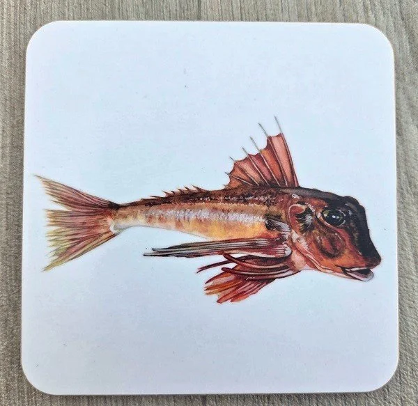 new 2026 red gurnard coaster.jpg
