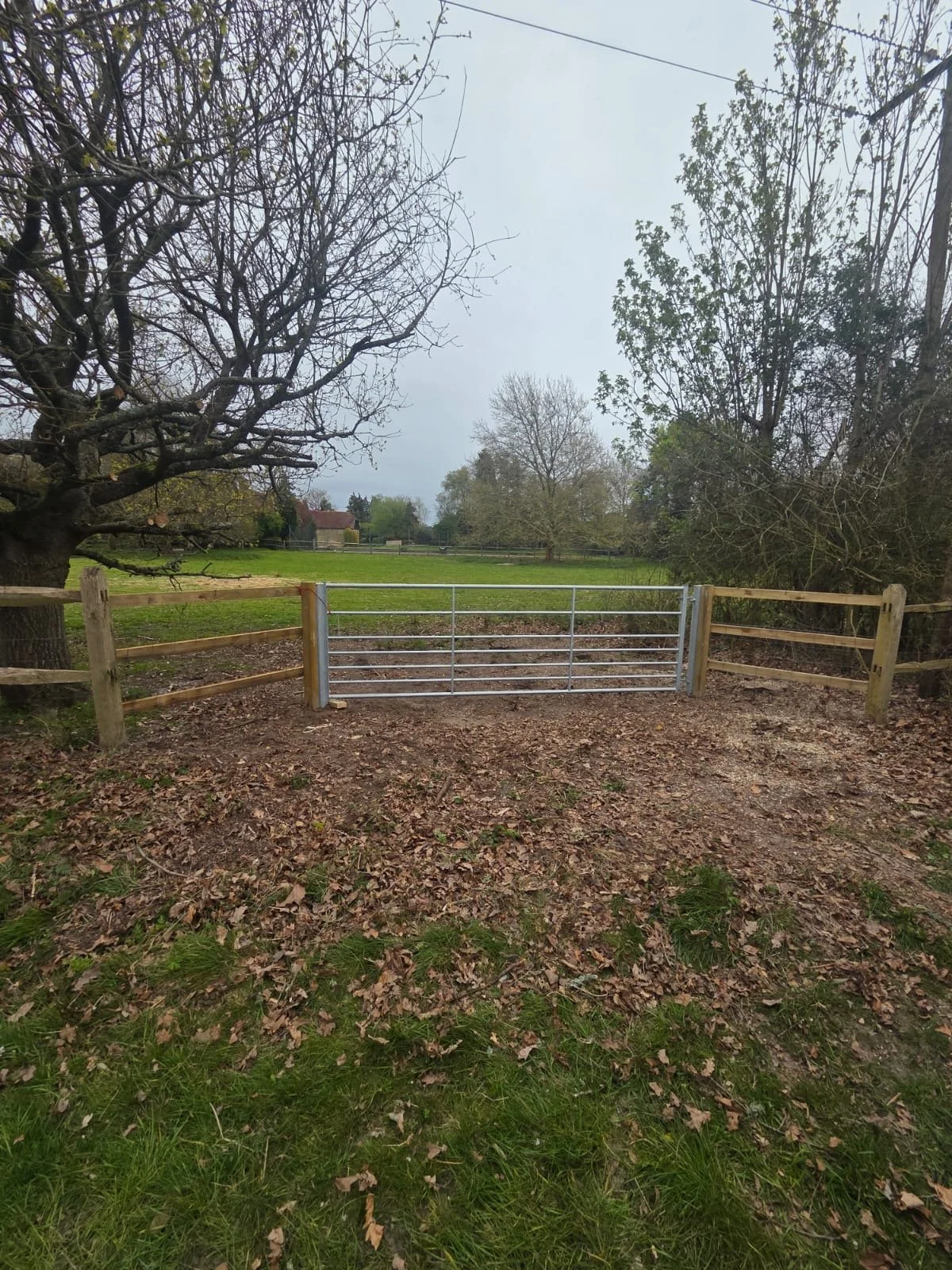 Gate.JPG