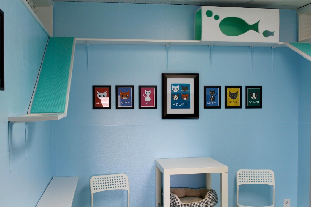 Thanks Squirrel Den Studio for creating these designs for the cat rooms. 