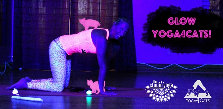 Make a date with kittens & join us for a special Friday the 13th glowing edition of our signature Yoga4Cats event! Tickets available now, see yoga4cats.com/glow for details.