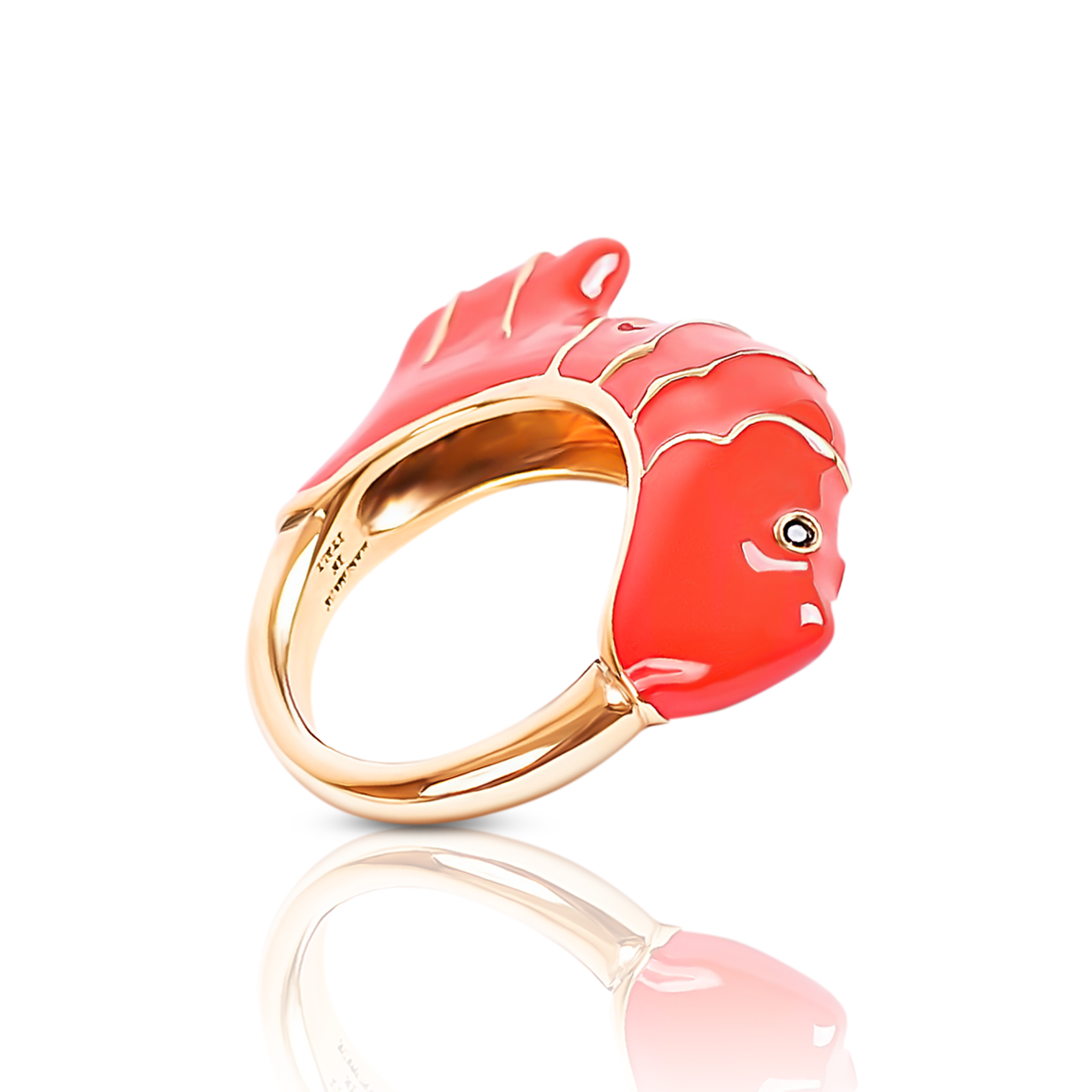 chiara-bello-GINO-FISH.png