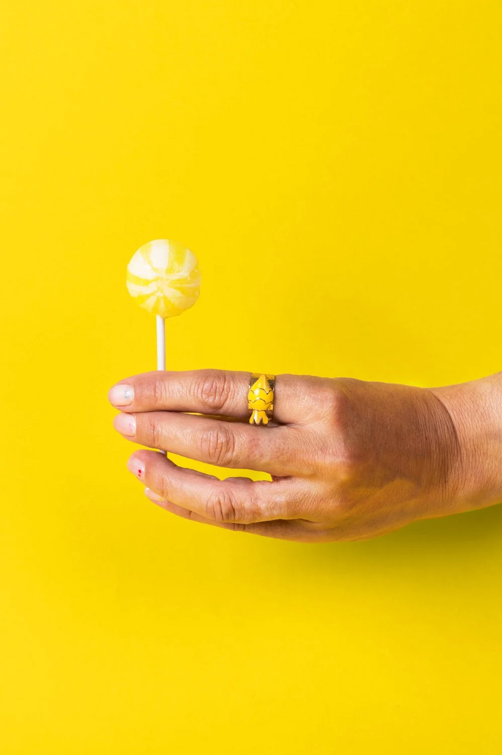 chic pig (312) copy.jpg