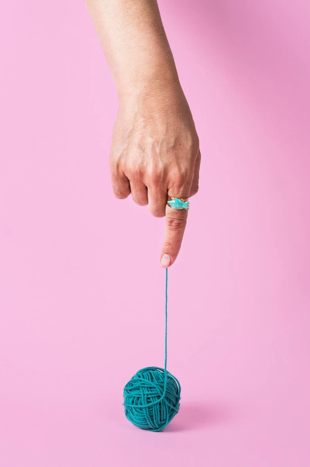 chic pig (299) copy.jpg