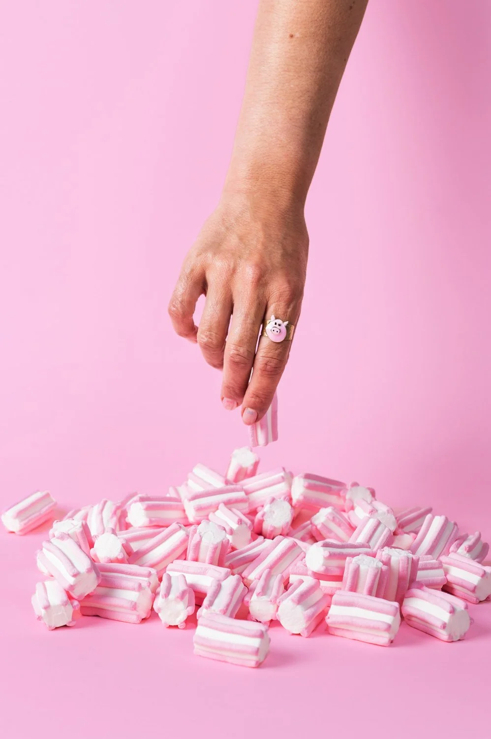 chic pig (269) copy.jpg