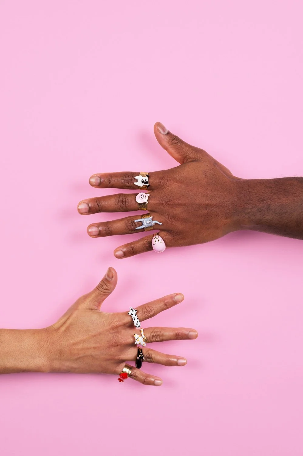 chic pig (136) copy.jpg