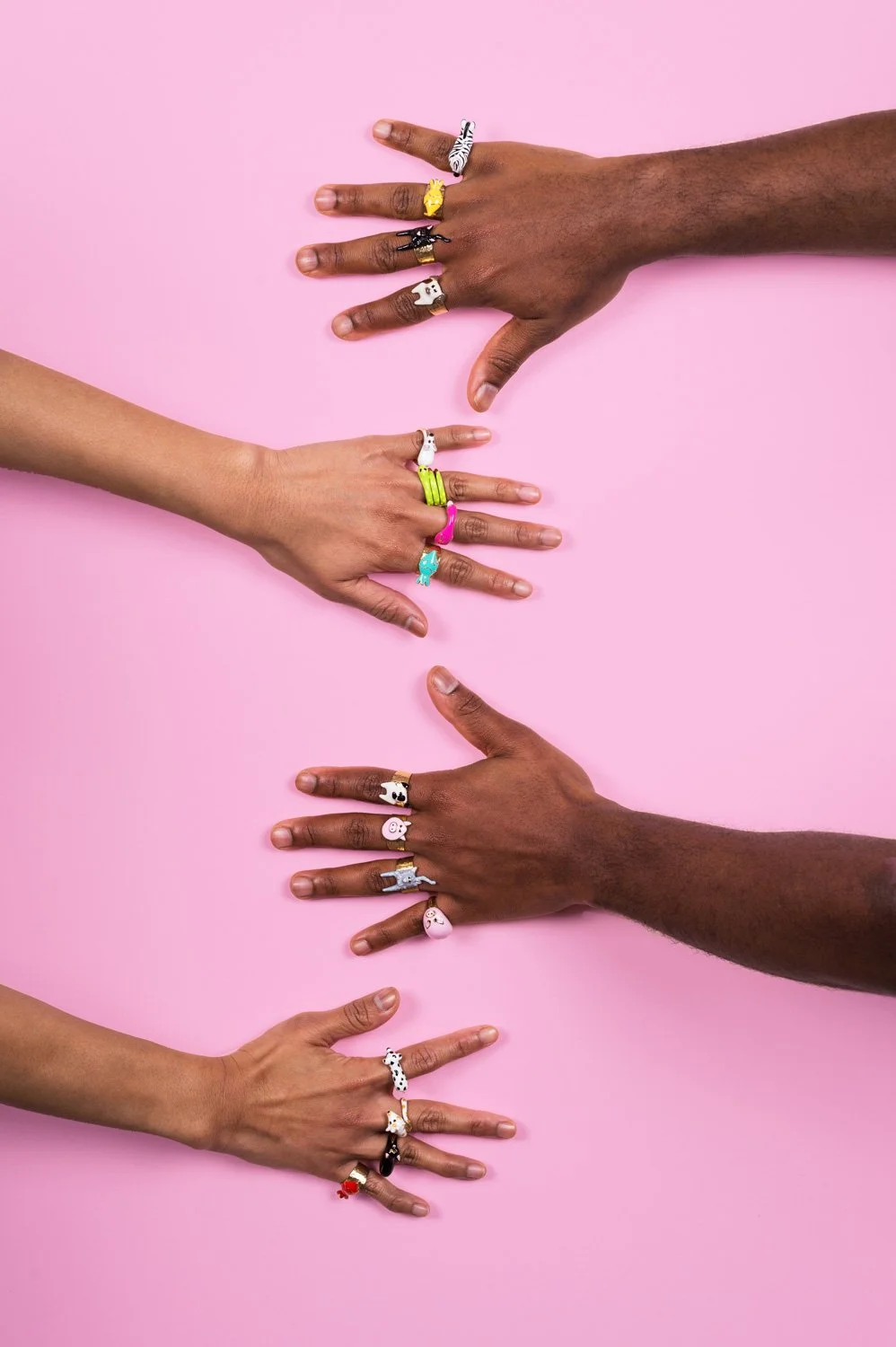 chic pig (138) copy.jpg