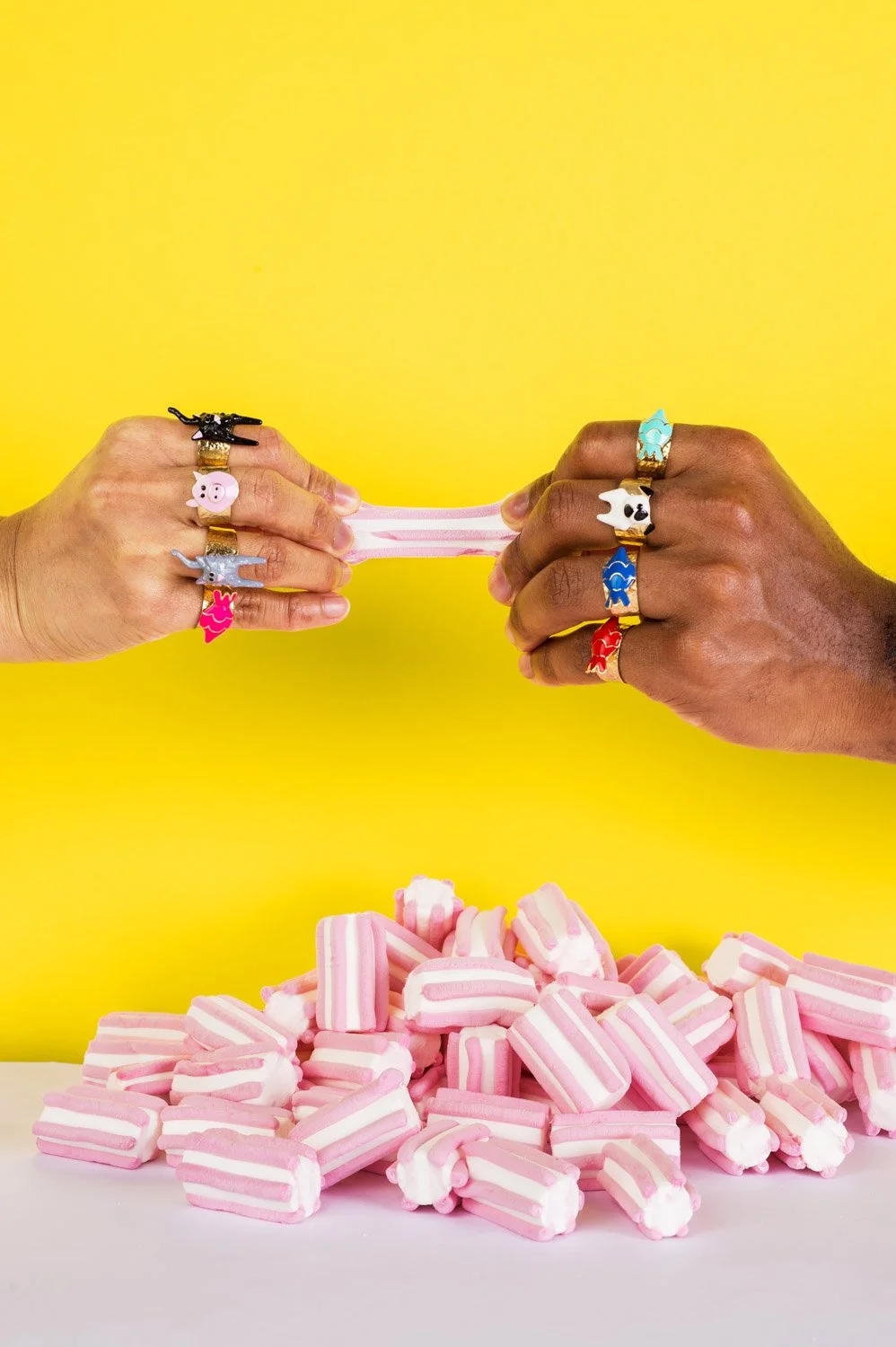 chic pig (30) copy.jpg