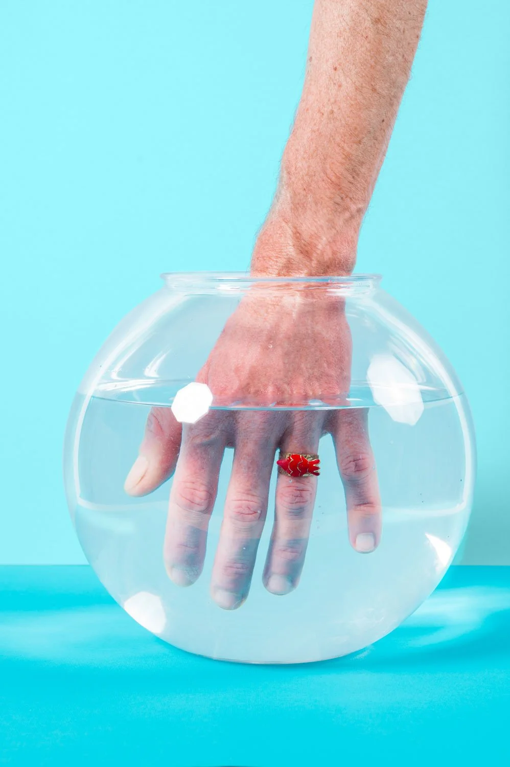 chic pig (54) copy.jpg