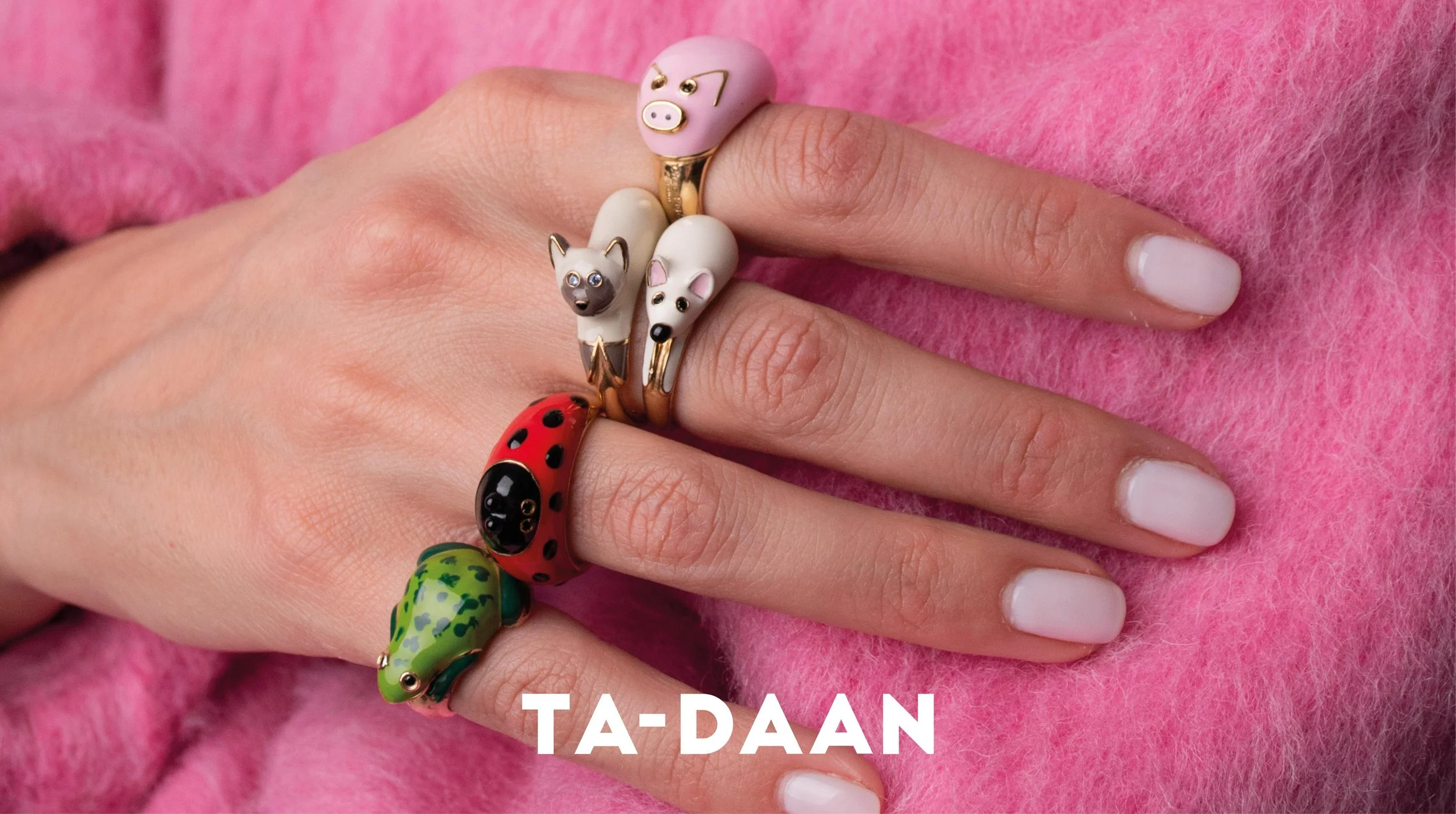 WhatsApp Image 2026-02-27 at 12.11.36.jpeg