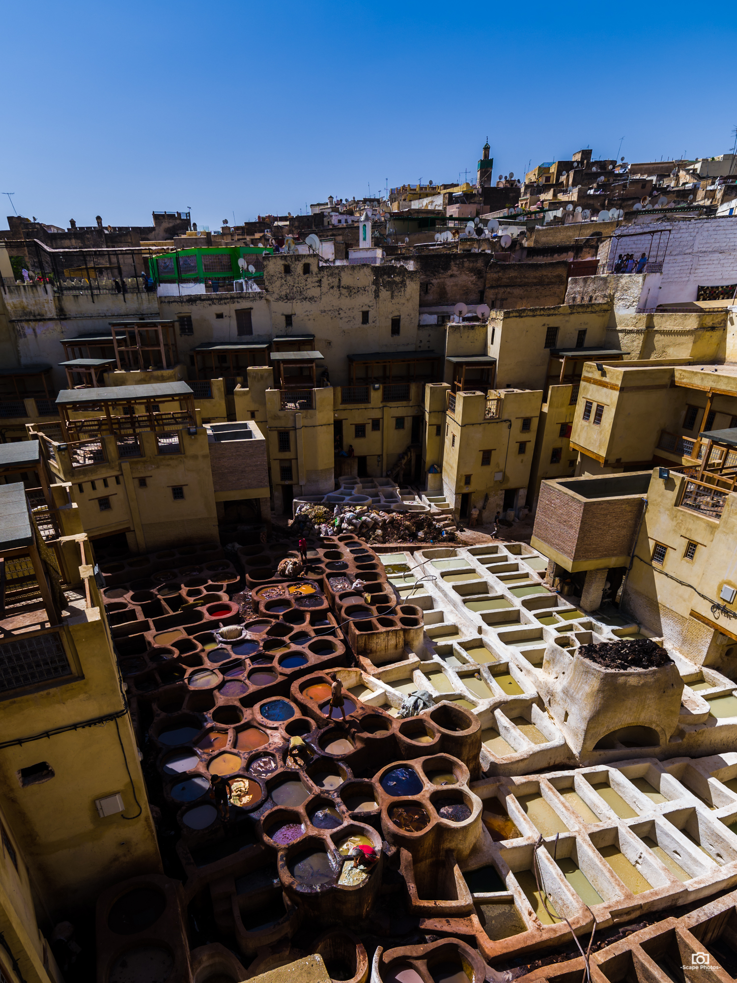 The tanneries