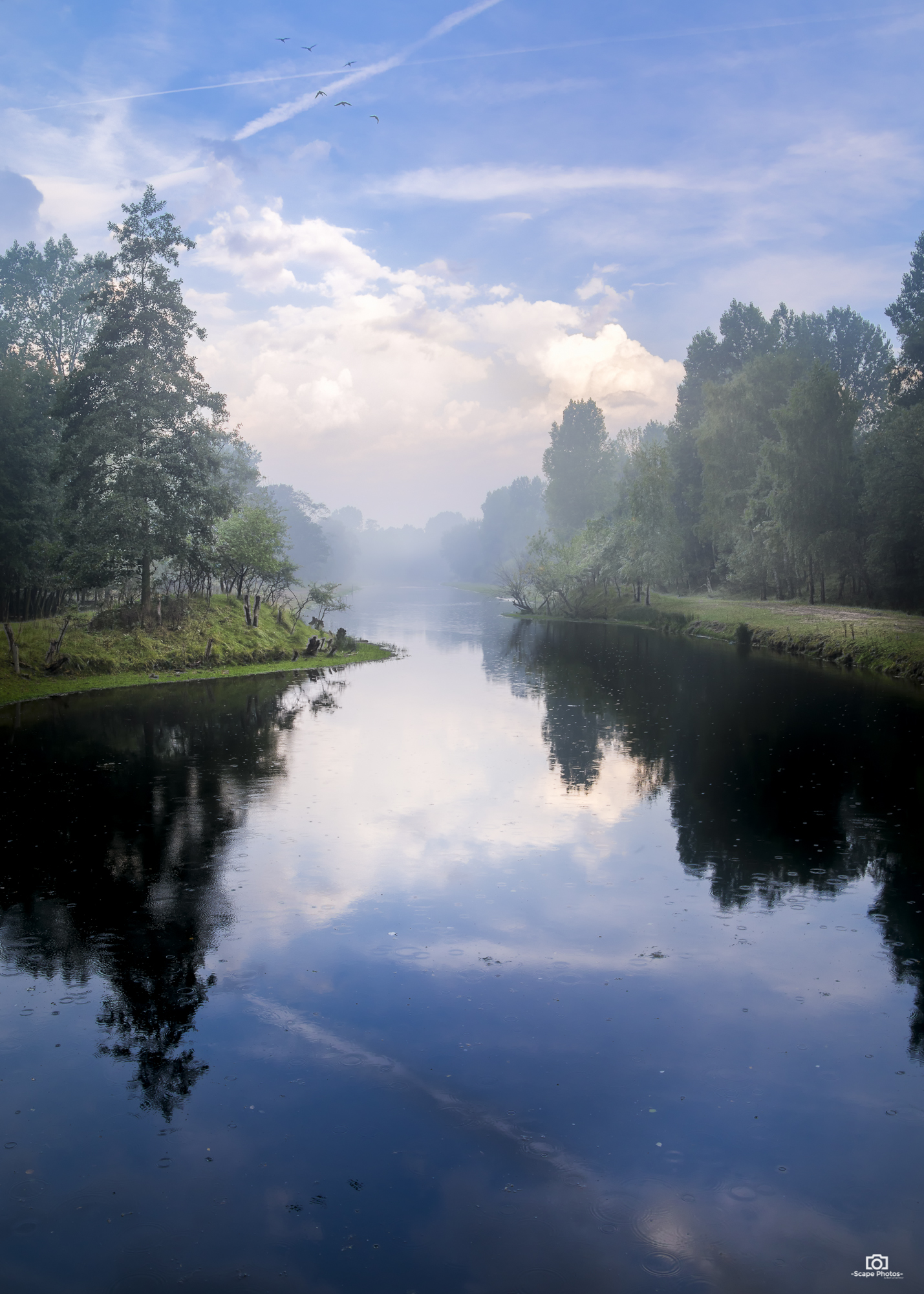 Mist