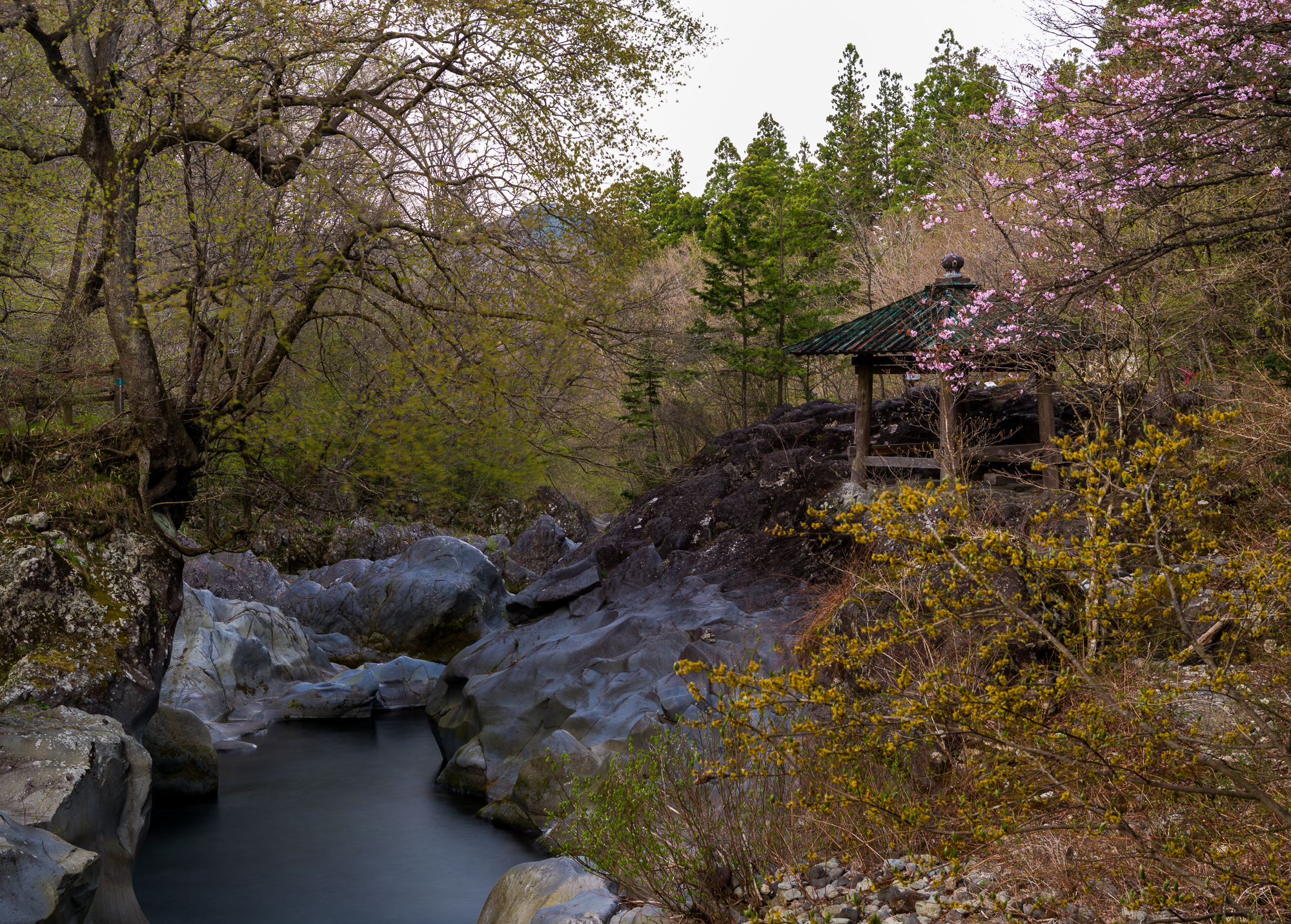 f13, 2 sec, iso 100