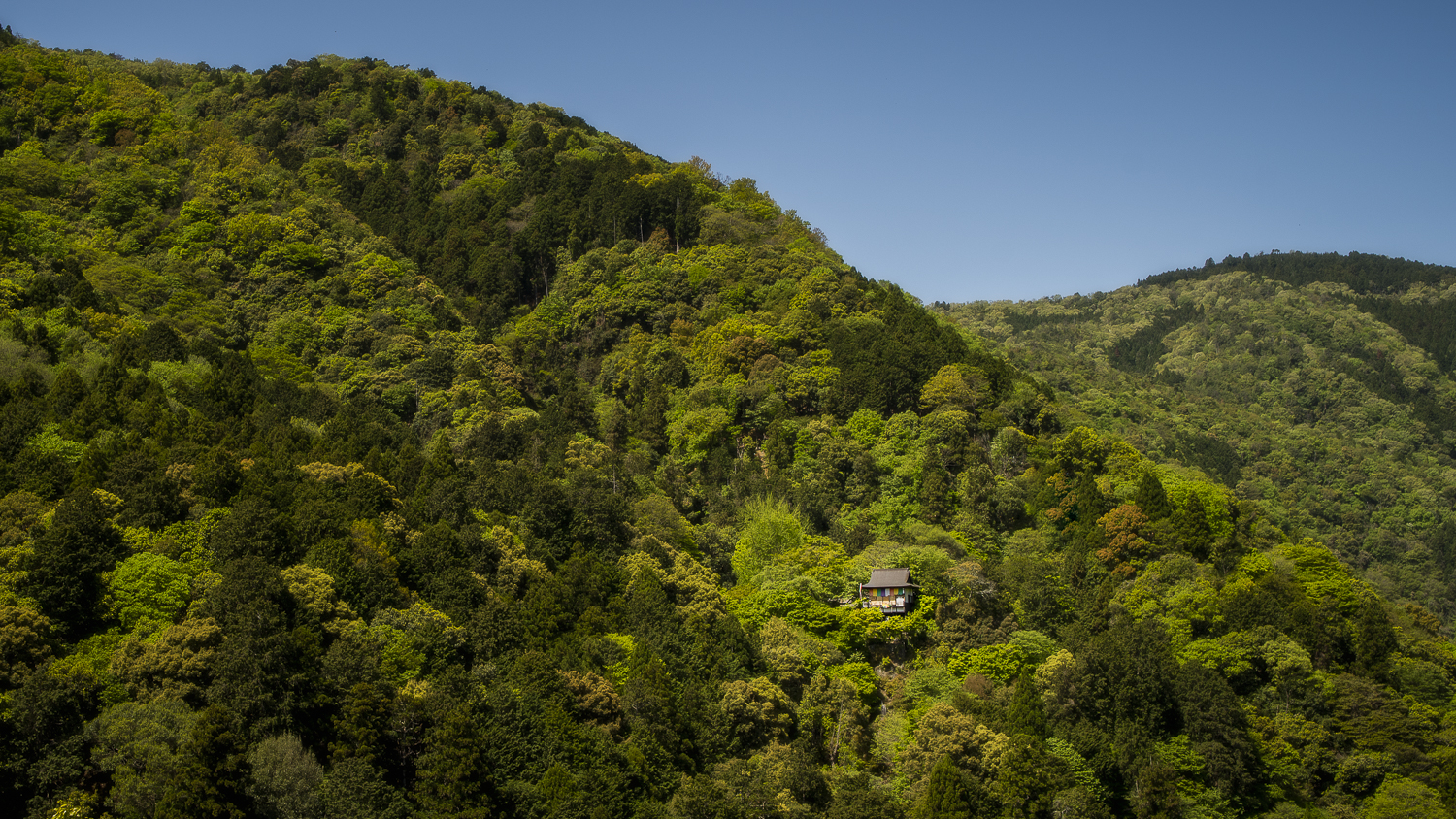 Een geleend landschapselement. Check.