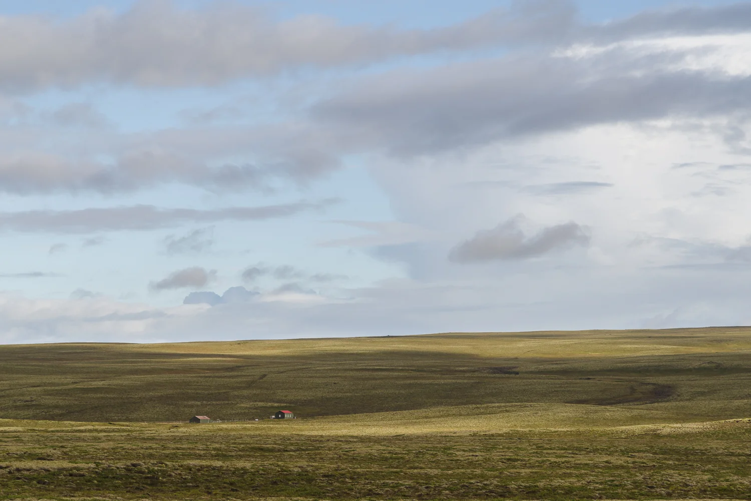 Uitgestrekte vlaktes, net buiten Þingvellir nationaal park
