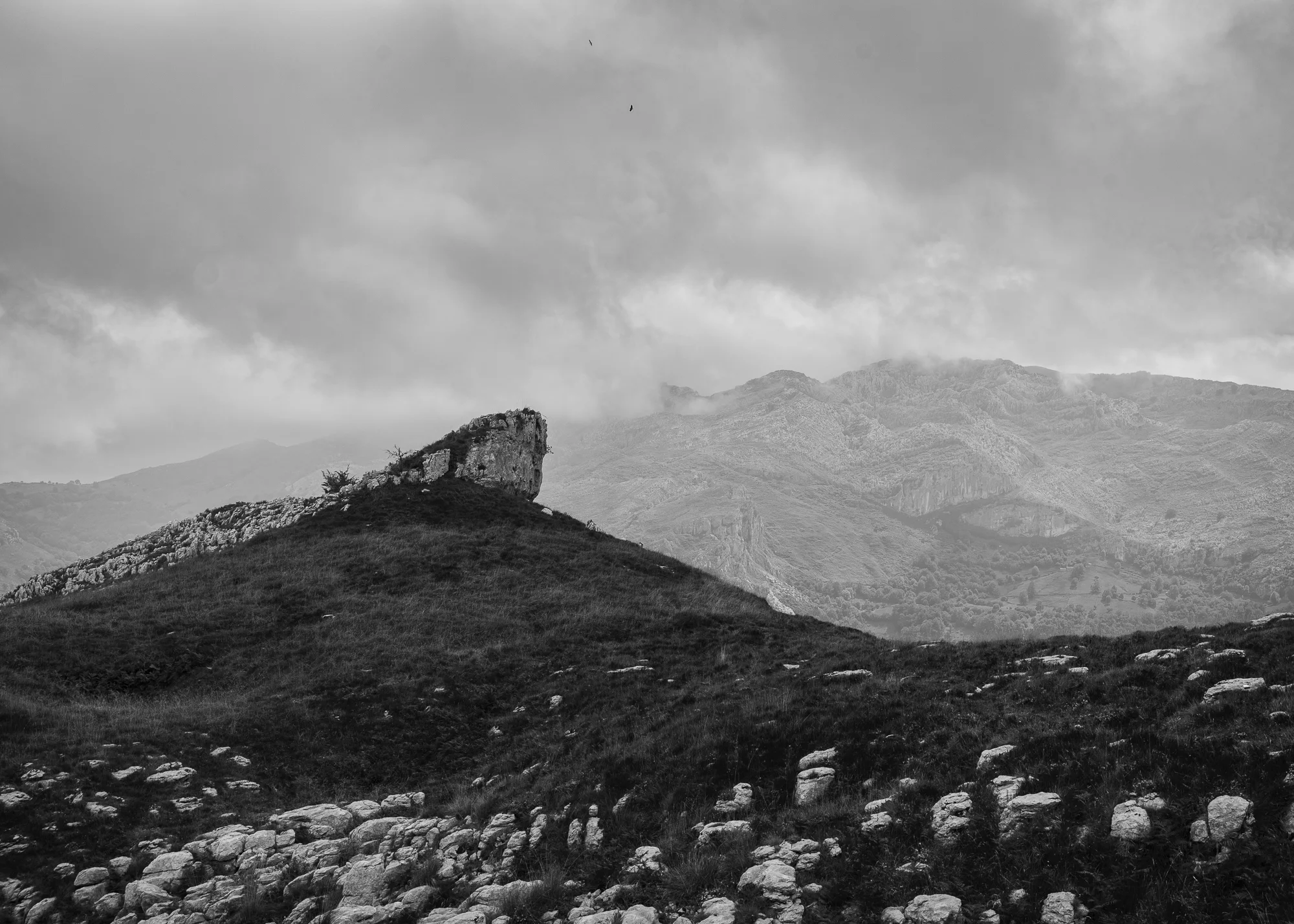 bovenop de berg