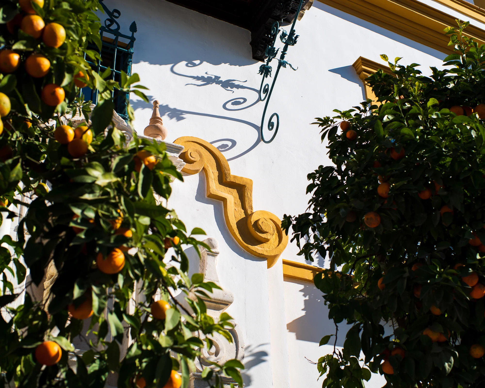 Sinaasappels, zon en wit geschilderde muren.
