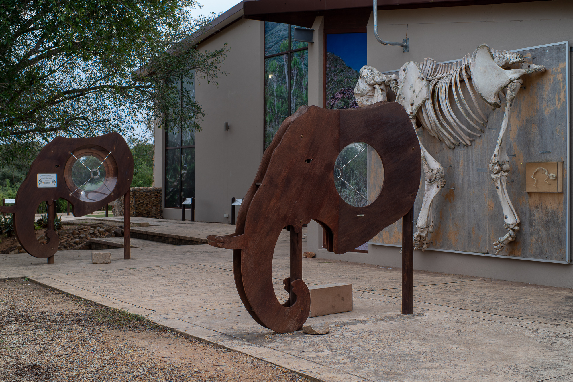 Interactief museum over olifanten in Addo