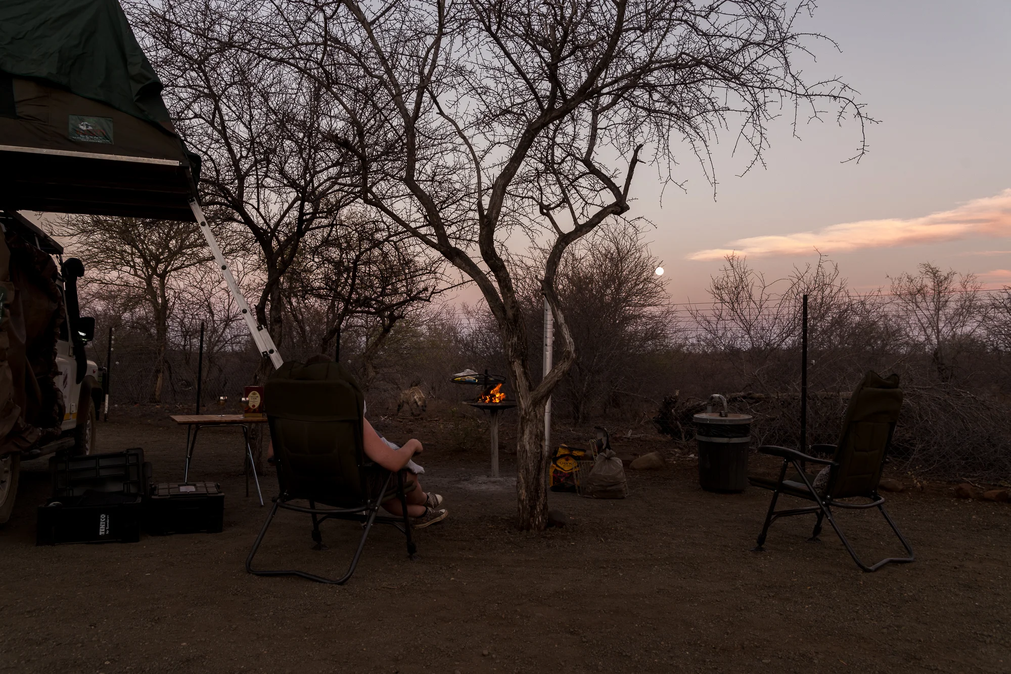 De huis hyena van Balule kamp in Kruger