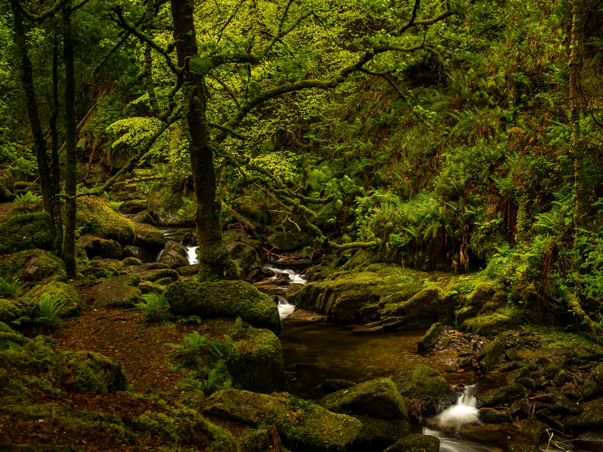 Benedenstrooms van Torc waterfall