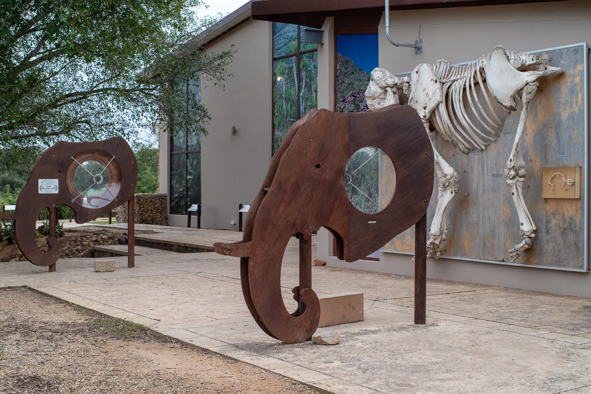 Interactief museum over Olifanten in het hoofdkamp van Addo