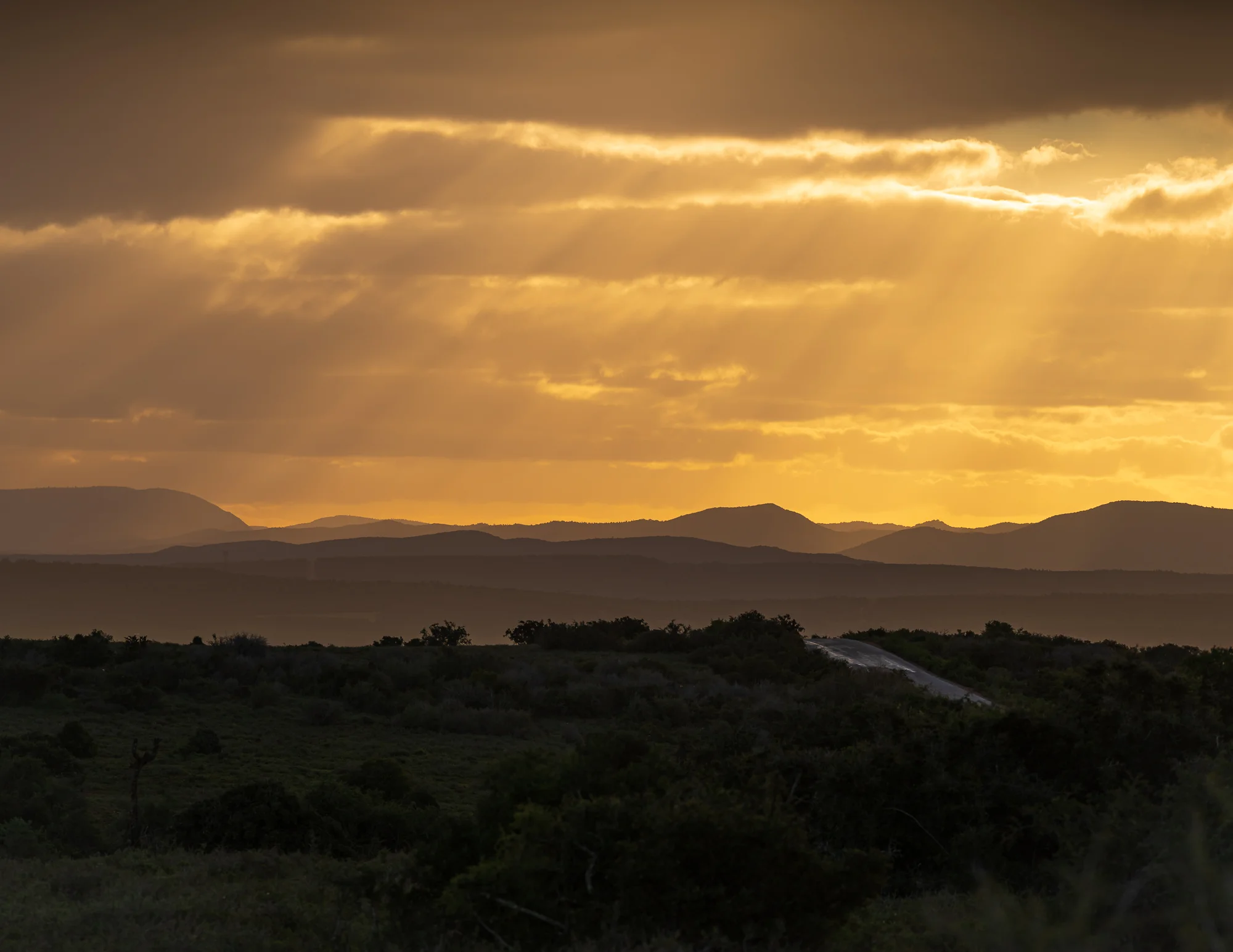 Heuvels in Addo.