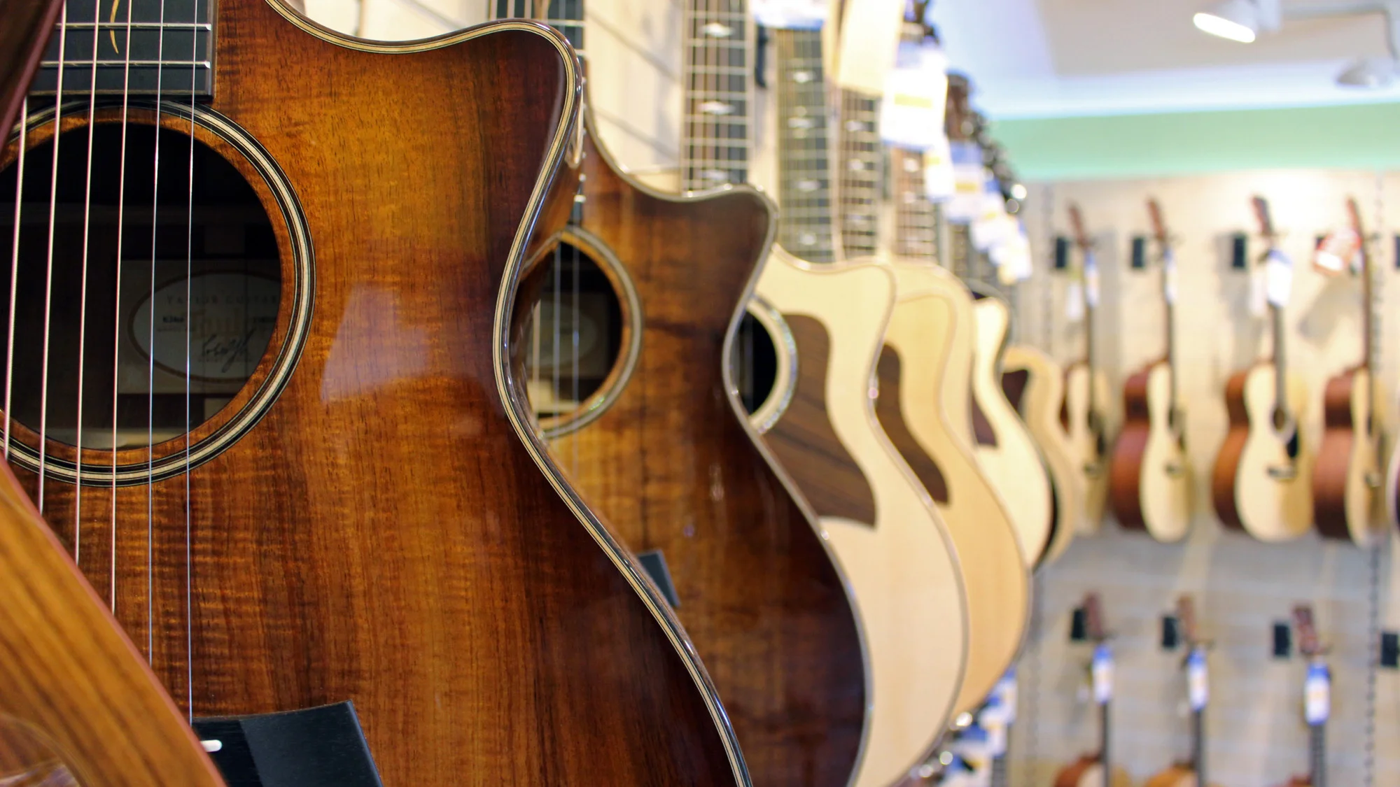 Our Acoustic Options — Wedding Bands Scotland Glasgow Too Many Vices