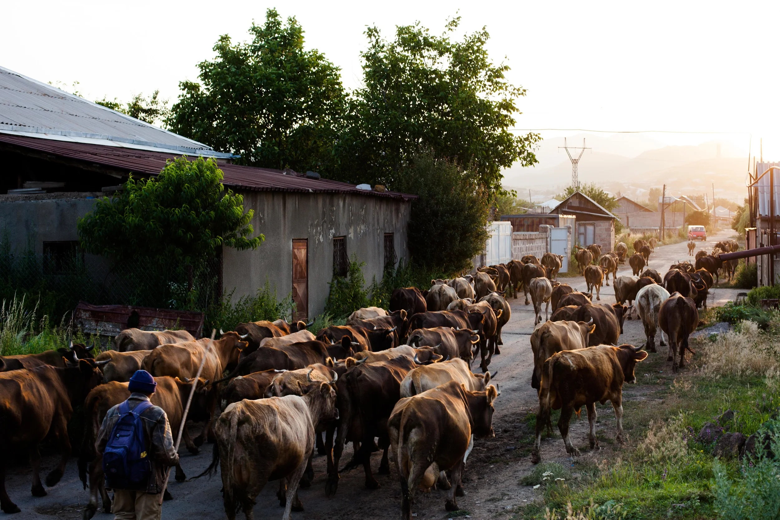 Spitak, Armenia / 2014